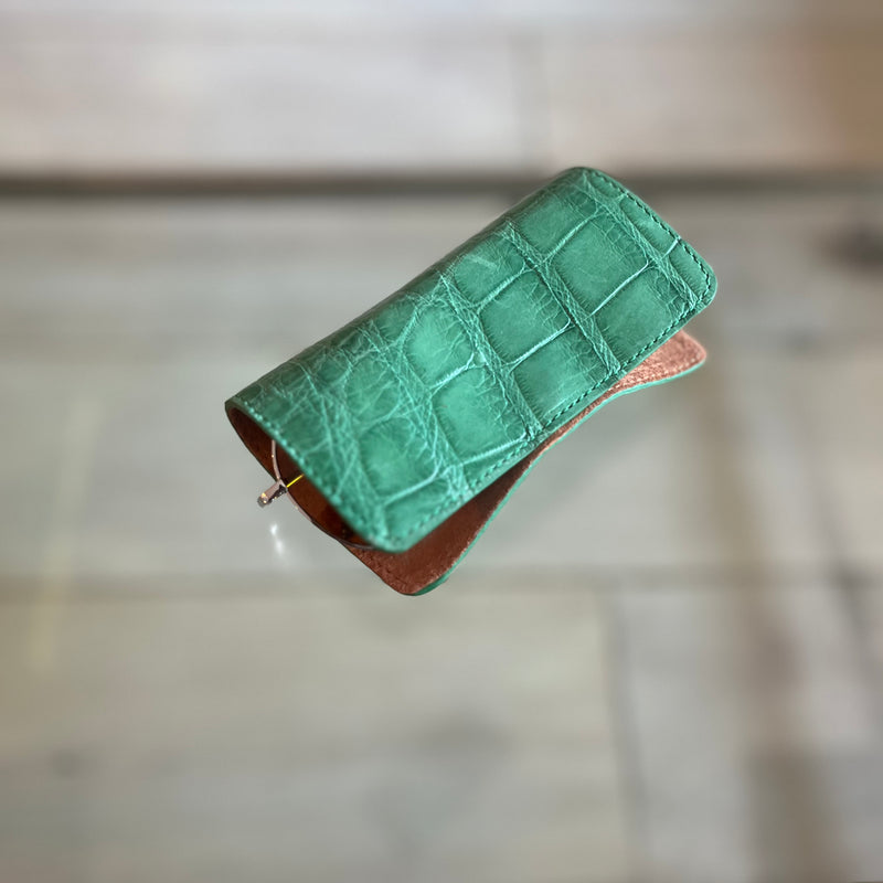 MAGNETIC GLASSES CASE - ASSORTED COLORS  - IN STOCK NOW